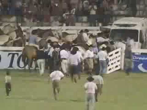 protesta contra la doma en pleno festival de Jesús María