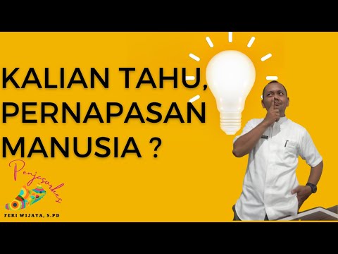 pernapasan pada manusia @feri_wijaya @feri_penjas20