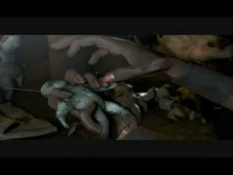 Sokrat ST - Ya acı ya tadı yok