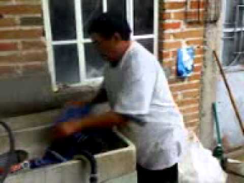 cananea ,pelukin, labando calsones