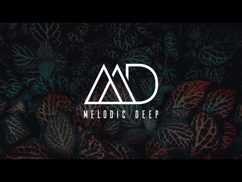 Melodic Deep House 2024 Audio CD (CD-R!!!) - фото 4 - id-p2462356598