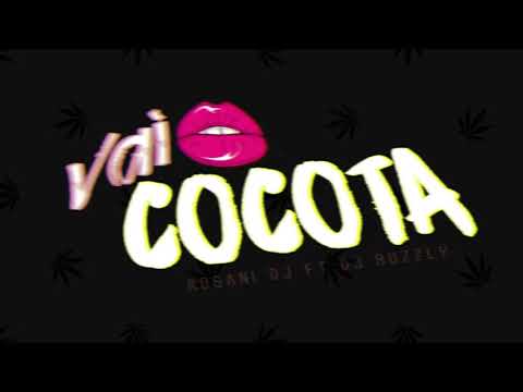 VAI COCOTA -  ROSANI DJ ft DJ BUZZLY