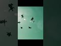 Kingsman Flying Kingsman