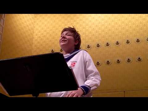 Alois Mühlbacher - A. Scarlatti - Serenata a Soprano "Notte ch'in carro"