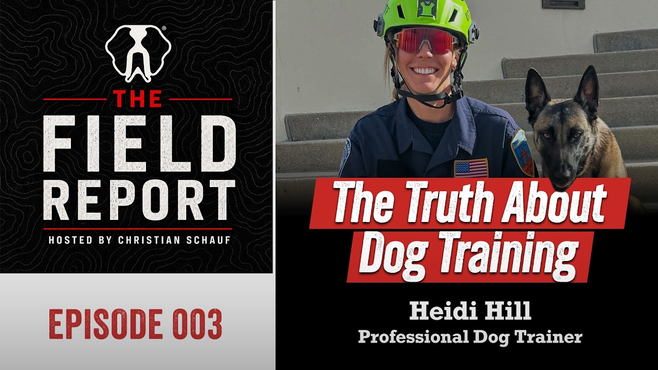 The Field Report featured episode