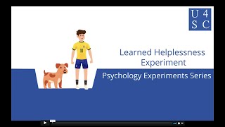 Learned Helplessness Experiment: Doggone Attitudes - Psychology Experiments Series | Academy 4 S...