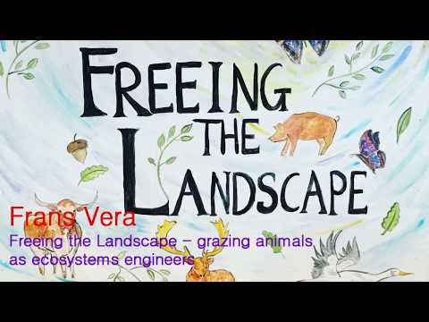 Knepp "Freeing the Landscape": Vera Talks - Frans Vera