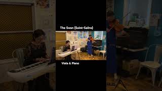 Download lagu 【ヴィオラとピアノ】白鳥(サン=サーンス) #viola #piano mp3