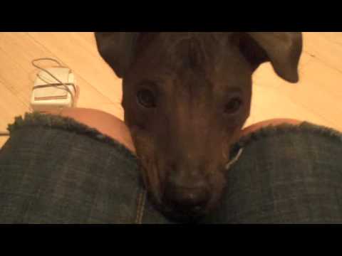 Xochitl "being cute"