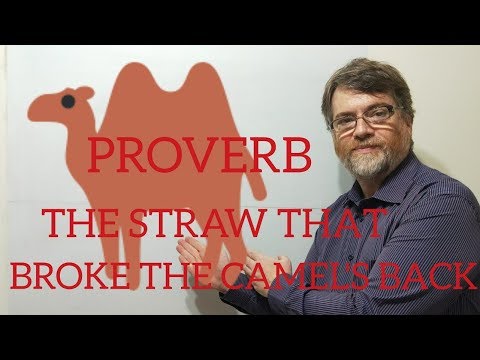 English Tutor Nick P Proverbs (75) The Straw That Broke the Camel's Back
