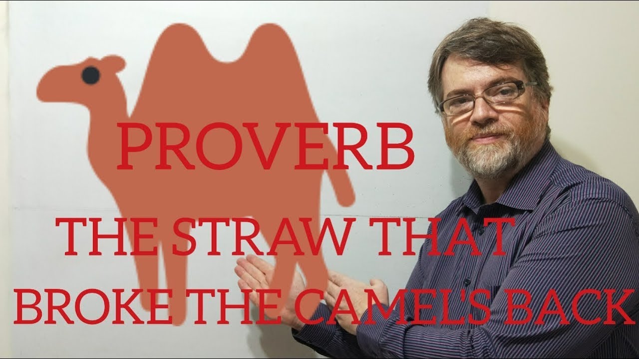 English Tutor Nick P Proverbs (75) The Straw That Broke the Camel's Back
