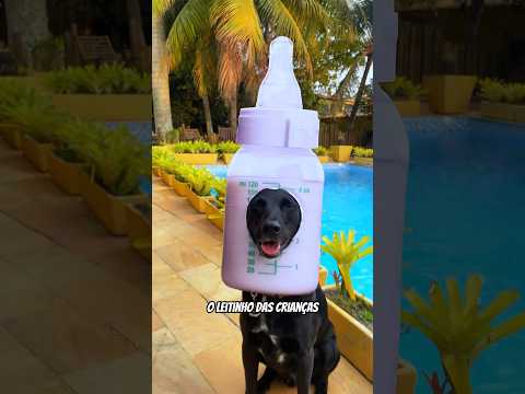 SÓ FÉ I KARAOKÃO #cachorro #cachorrosfofos #cachorros