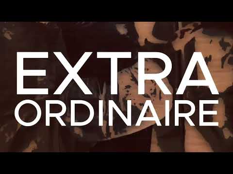 Vive la Fête - Extraordinaire