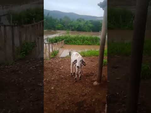 Rio Batiões em Tarrafas Ceará continua desse jeito 06/03/2026