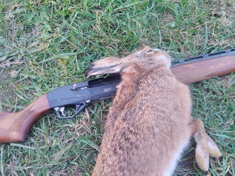 Hasenjagd "JAGEN FÜR DEN KOCHTOPF" #Hasenjagd #Treibjagd