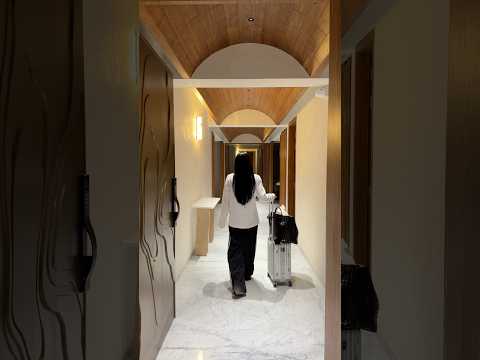 High profile gujrati family that had a viral wedding #india #indiatravel