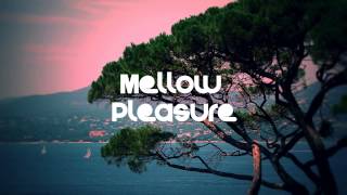 IAMNOBODI - Reaction ft. JMSN