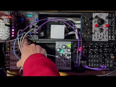 BEHRINGER BRAINS TEST MODULAR EURORACK OSCILLATOR SYNTH ROUGH VIDEO ONE TAKE NO TALKING