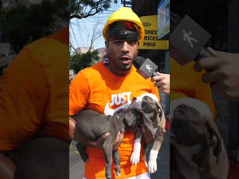 BING BONG JOE BYRON ORIGINAL 🇺🇸