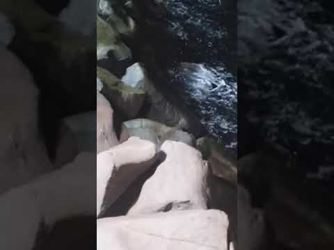 aquarium  beach in jeddah