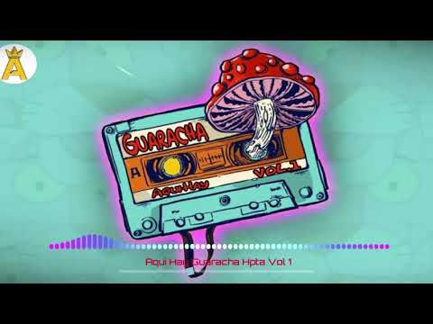 Aqui Hay Guaracha HPTA 💥 Vol 1 (SET X Guaracha) Aleteo | Zapateo | Tribal (Prod. Dj Morphius)