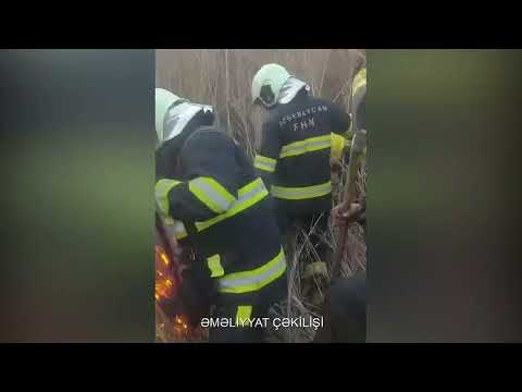 Açıq ərazidə baş vermiş yanğın