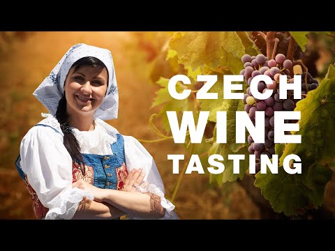 Czech wine tasting - South Moravia