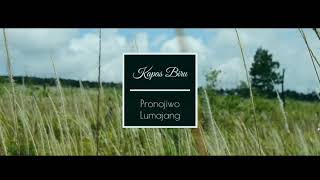 preview picture of video 'Coban kapas biru lumajang'
