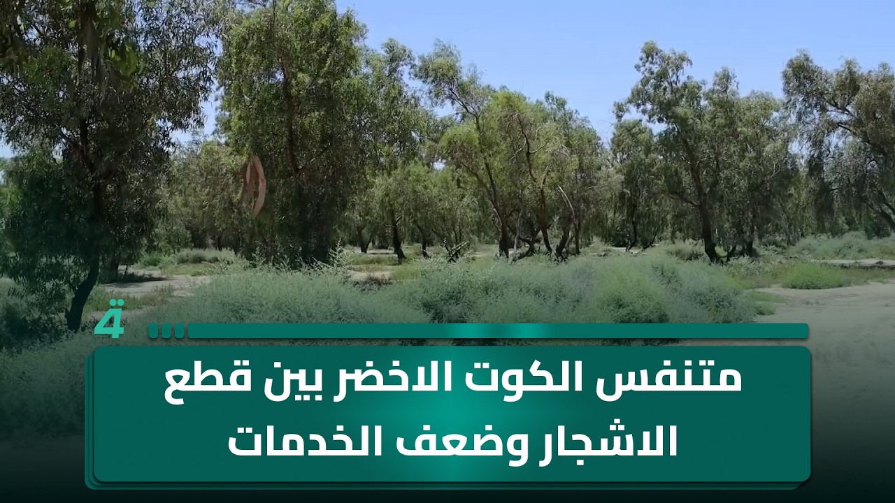 فيديو | متنفس الكوت الاخضر بين قطع الاشجار وضعف الخدمات