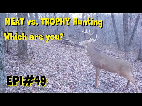 Epi 49 Meat Hunting Verses Trophy Hunting