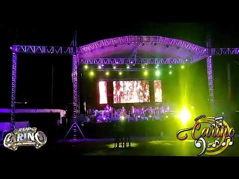 Huapango El Amazonas- Grupo Cariño de Irapuato Gto 