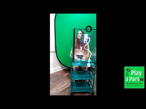 Play a Part in Ridgefield, CT