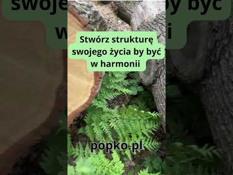 [Encyklopedia Wiedzy Duchowej] Stwórz strukturę swojego życia by być w harmonii popko.pl  #popko #duchowosc #rozwojduchowy #rozwój