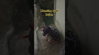 Download lagu Mancing ikan saat hujan deras dapat ikan babon mantap #fishing #shots mp3