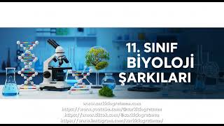 11  Sınıf Biyoloji   Vücudun Kimyasal Habercileri  Hormonlar ve Endokrin Bezlerin Düzenleyi