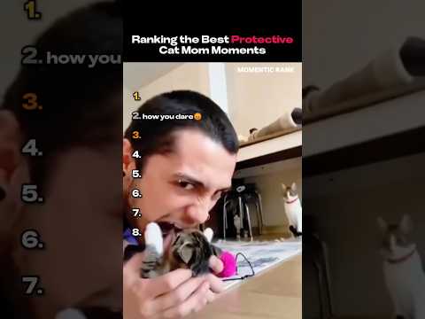 Ranking the Best Protective Cat Mom Moments