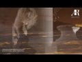 Xtigma feat. Sarah Russell - Take Your Hand ...