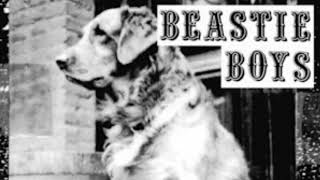 Beastie Boys-Transit Cop ( Demo )