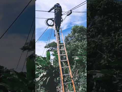 15 de octubre de 2025 casi llegando al desvío de California en Usulután amigos #nature