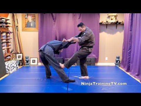 Danshu (Projectile Hand) (Springy Hand),Gyokko Ryu Koshijutsu
