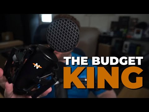 The BEST Budget Mic Out There? | Neat Mics King Bee II