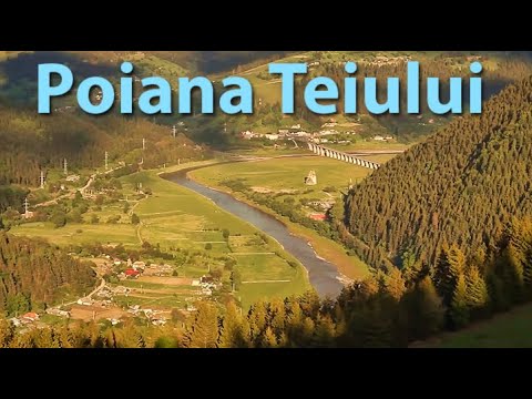 Poiana Teiului vedere de sus