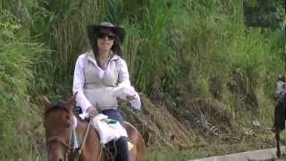 preview picture of video 'horse riding Cordoba. tourism Quindio Colombia,beautiful landscapes and women 33.m2ts'