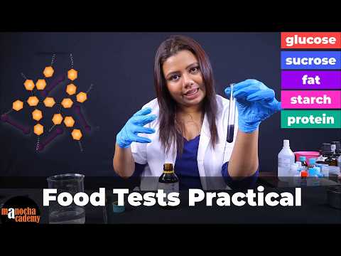 Food Test Practical Biology