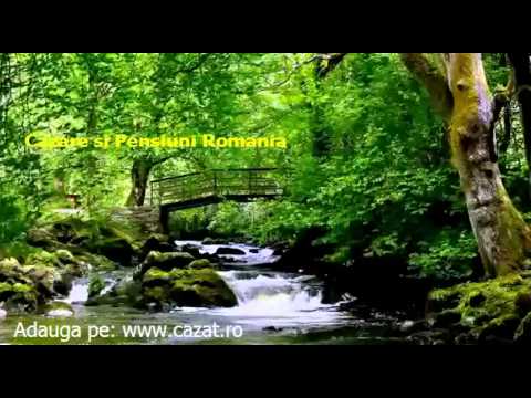 Cazare Burila Mica, Mehedinti - Cazat.ro