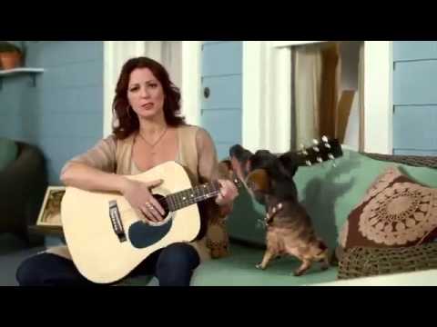 Audi 2014 Super Bowl Commercial Doberhuahua