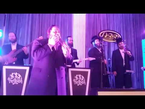Levy Falkowitz rocking away with Freilach orchestra