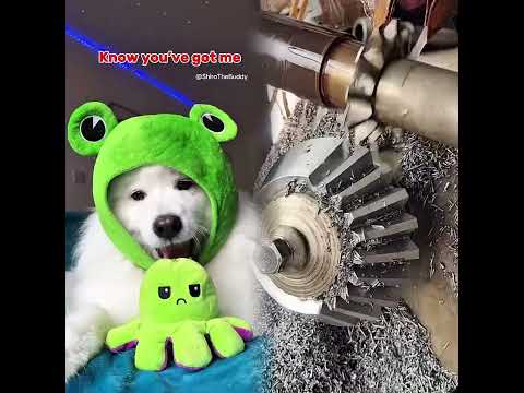 YouTube Thumbnail