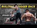 How To Build A Bigger Back | Tips For Growing You Back | TTIN Ep. 35