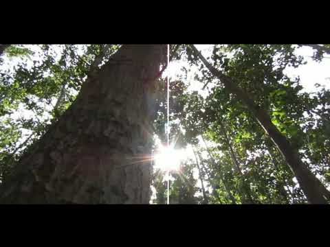 GHOST WAY Official Trailer  Ahhad Khan  Halil Hameed  Hamza Hameed